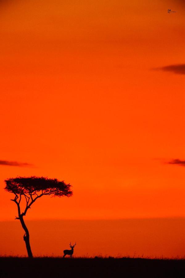Hotel Lorian Safari Camp Limited Narok Zewnętrze zdjęcie